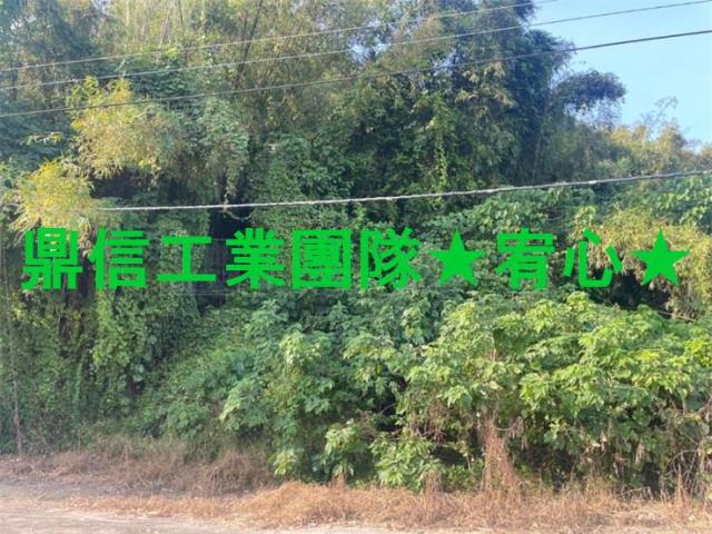 龍崎農地-0