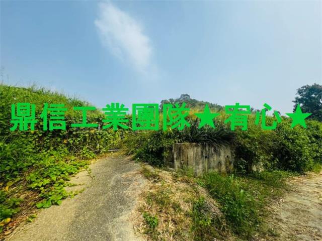 大樹農地-0