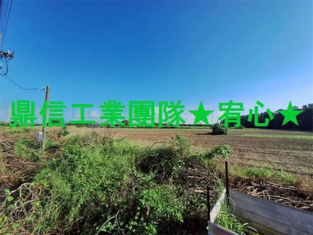 善化農地-0